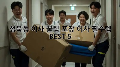 성북동 이사 꿀팁🍯 포장 이사 필수템 BEST 5