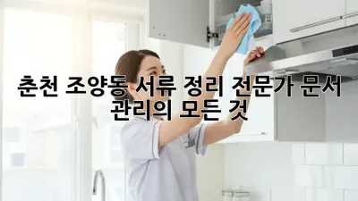 춘천 조양동 서류 정리 전문가: 문서 관리의 모든 것